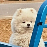 慢慢多多