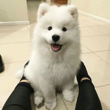 豆友255618917