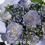 春山晦明