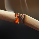 珍宝珠