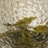 芜湖起飞
