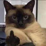 GgwtRnawy