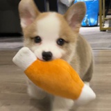 不认识是吧