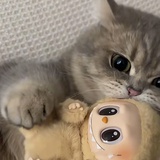 momomo