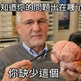 枝枝不倦