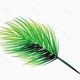 晨风拂绿了芭蕉