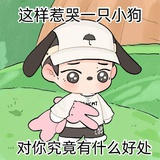 摩多小狗