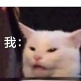 冥河猫猫