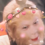 呵呵