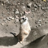 0.0