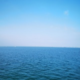 指间沙