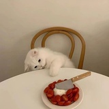 有点糕冷