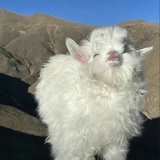 少年二三里