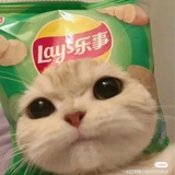 今晚吃什么