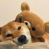 开联yyds