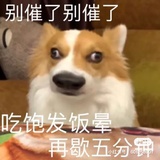 我吃土豆泥🥔