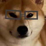 蛋子