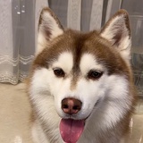 豆友5475005312