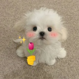 子余不吃鱼