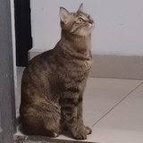 嘘嘘嘘嘘嘘