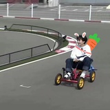 葵蛙嘟嘟嘟