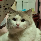 不想起床