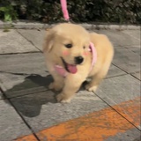 豆友x8hbUvlFgQ