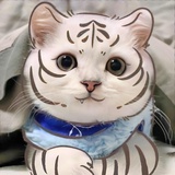 牛腾腾