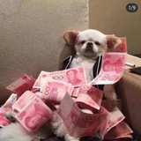 一千八