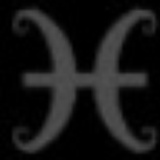 xylia