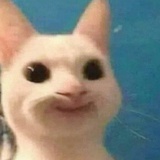 瑞琪