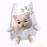 阿偶欧