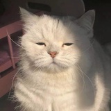 不见踪影
