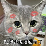喜糖第一大帅哥
