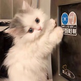 🥰🥰
