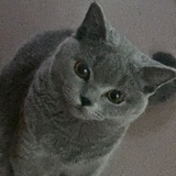 周末勿扰