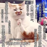 日渐美好