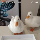 看书看书