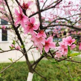豆友L9vAsBPc_o