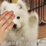懒懒懒散少女