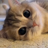 不要乱碰瓷