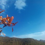 徐永红