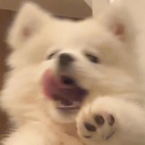 泡泡爆炸