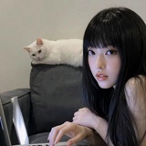 泠泠春上枝