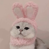 爱赚钱的JJ