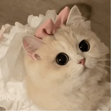 豆友TT_WfxOsq0