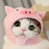 时光依昨侧