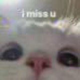 xixi