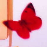 cul