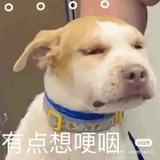 啊！贝狮